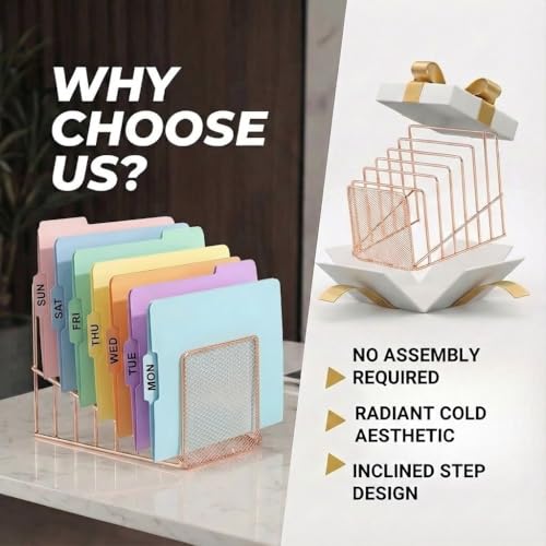 Simmer Stone 2 Pcs Incline File Sorter, 7 Slot Magazine Holder for Letter, Document, Folder and Book, Metal Desktop Organizer Rack for Home, School and Office (2-rose gold) - color: 2-rose gold