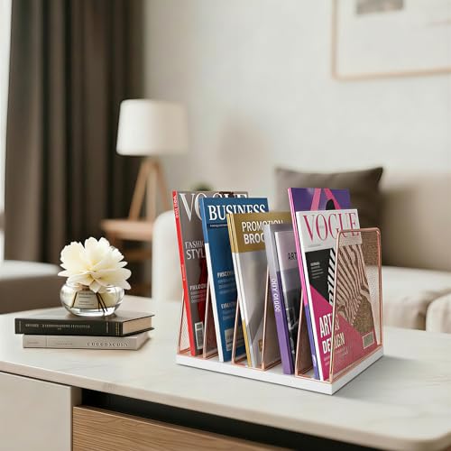 LEKETREE Rose Gold Desk File Organizer, 5-Section Upright File Sorter, Vertical File Folder Holder, Mesh Metal Wood Office Desktop Organization for Document, Magazine, Books and more (Rose Gold) - color: White and Rose Gold