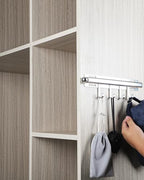 BaiNong 12 inch Valet Rod for Closets Pull Out Closet Valet Rod Slide Out With 4 Hooks Silver Pull Out Clothes Hanger - color: Silver, size: 12 Inch