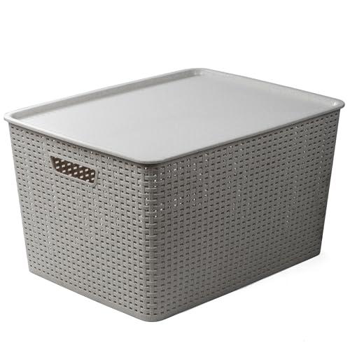 BINO | Plastic Storage Baskets with Lids, 45 Liter - 3 Pack, Natural Grey | THE WOVEN COLLECTION | Storage Basket for Shelves | Woven Storage Baskets for Organizing Bins | Pantry Shelf Organizer Bin - color: Natural Grey, size: 45L | 2-Pack