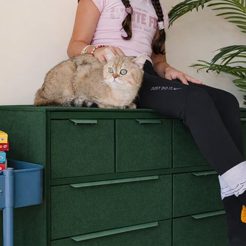tinge Naima Premium Fabric Dresser - Strong Metal Frame, 10 Spacious Sag-Proof Drawers with Sleek Metal Handles - Premium & Durable Storage Solution for Your Home (Green) - color: Green, size: 14"D x 39.2"W x 35.8"H (10 Drawers)