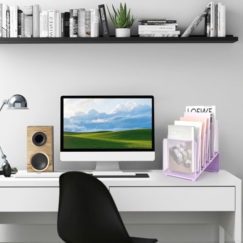 LEKETREE File Organizer for Desk, Desk Organizer with 5-Section Vertical File Rack, File Folder Organizer (Purple) - color: Purple