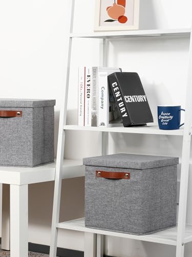 Temary Foldable Fabric Storage Bins with Lids, 2-Pack Storage Bin for Organizing Living Room, Closet Organization, Multi-Purpose Storage Boxes for Clothes (Grey, 10.5x10.5x10.5 inch) - color: A-Gray, size: 10.5×10.5×10.5