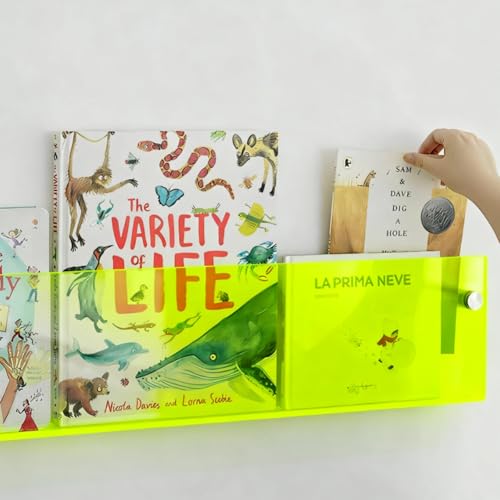 ROYALITA 2-Pack Acrylic Magazine Holder Brochure Holder, 36" Record Holder Magazine Rack, Fashion Hanging Bookshelf Literature Storage Rack for Waiting Room, Living Room, Office, Green, 36 Inch - color: Green, size: 36 Inch