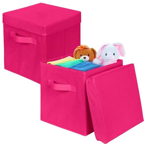 ShellKingdom Storage Bins, Foldable Fabric Storage Cubes with Lid, Clothes Storage Organizer Drawer For Closet Toys Storage, 10.5 X 10.5 X 11 INCH, 2 Pack (Fuchsia) - color: Fuchsia, size: 11 inch (2 Pack)