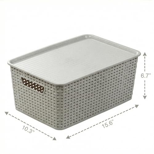 BINO | Plastic Storage Baskets with Lids, 15.5 Liter - 3 Pack, Natural Grey | THE WOVEN COLLECTION | Storage Basket for Shelves | Woven Storage Baskets for Organizing Bins | Pantry Shelf Organizer Bin - color: Natural Grey, size: 13.5L | 3-Pack