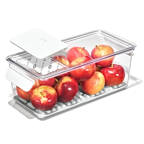 OXO Good Grips Produce Saver Bin with Filter - style: Produce Saver Bin