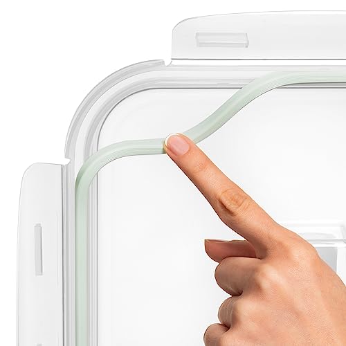 6500 ML / 220 oz / 28 Cup LARGE Glass Food Storage Container with Airtight Locking Lid. Ideal Storing food, Vegetables, Fruits. Baking Casserole, Lasagna, Roasting Turkey, Chicken BPA Free Oven Safe - size: 6500 ml