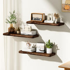 Solid Wood Live Edge Floating Shelves Set of 2 – 24" Rustic Wall Shelf with Hidden Bracket System, Wall Mounted Shelves for Bathroom, Kitchen, Living Room, Bedroom (Walnut) - color: Walnut, size: 24 inch - 2pcs