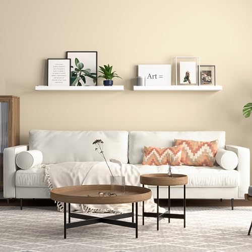 Boswillon 23.6 Inches Long Floating Shelves, 2 Set Modern White Wall Shelf for Bedroom, Nursery Book Shelf with Lip, Picture Ledge Shelf for Living Room, Bathroom, Kitchen - color: White, size: 23.6 In