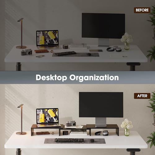 FITUEYES Dual Monitor Stand – 3 Shelf Computer Monitor Riser, Wood Desktop Stand with Adjustable Length and Angle, Desk Accessories, Office Supplies Medium Black,DT108001WB - color: Black
