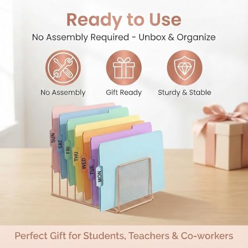 Simmer Stone 2 Pcs Incline File Sorter, 7 Slot Magazine Holder for Letter, Document, Folder and Book, Metal Desktop Organizer Rack for Home, School and Office (2-rose gold) - color: 2-rose gold