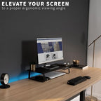 VIVO Monitor and Laptop Stand, 24 inch Desktop Riser, Black, STAND-V000D - color: Black
