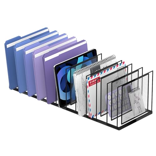 File Organizer for Desk, 11-Section Vertical File Sorter, Paper Holder Organizer Standing Metal File Folder for Office Home Classroom, Black - color: Black, size: 1 Pack 11-Section