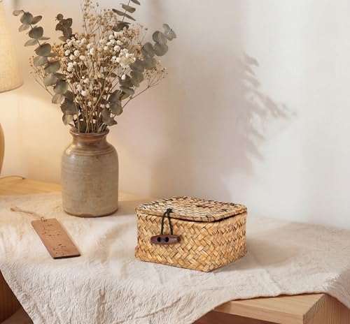 Hipiwe Handwoven Wicker Basket with Lid Desk Organizer for Remote Control Key Glass Coffee Color Seagrass Box for Decoration, Caramel Color 3.5" x 3.5" x 2" - color: Caramel color, size: 3.5" x 3.5" x 2"