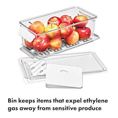 OXO Good Grips Produce Saver Bin with Filter - style: Produce Saver Bin