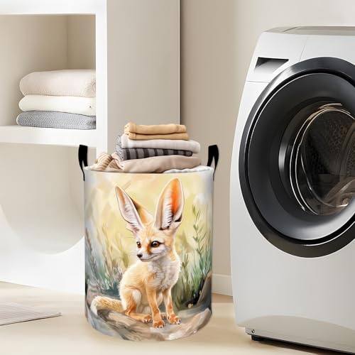 Cute Fennec Fox in Desert Laundry Basket with Handles, 19.7"x15.7" Clothes Foldable Laundry Hamper Organizer for Dorm Nursery Bedroom Bathroom Decor, Toy Storage Bin for Kids - style: Fennec Fox40