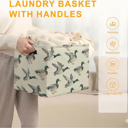 56L Mallard Duck Laundry Basket Clothes Hamper with Handles,Foldable Blanket Storage Large Laundry Hamper with Waterproof PE,Toy Storage Bin Organizer,Cube Clothes Organizer,Home Decor - color: Mallard Duck