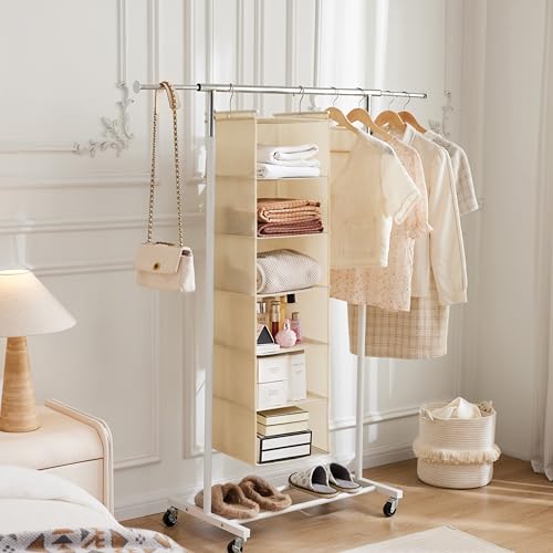 MAX Houser 6 Tier Shelf Hanging Closet Organizer, Cloth Hanging Shelf with 2 Sturdy Hooks for Storage, Foldable (Beige) - color: Beige