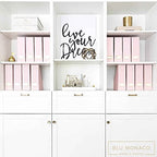 BLU MONACO | Cardboard Magazine File Holder Set of 6 Pink | Vertical Magazine File Holder with Gold Label Slots | Standing File Holder and Cardboard Bins for Shelves Desk Storage - color: Pink