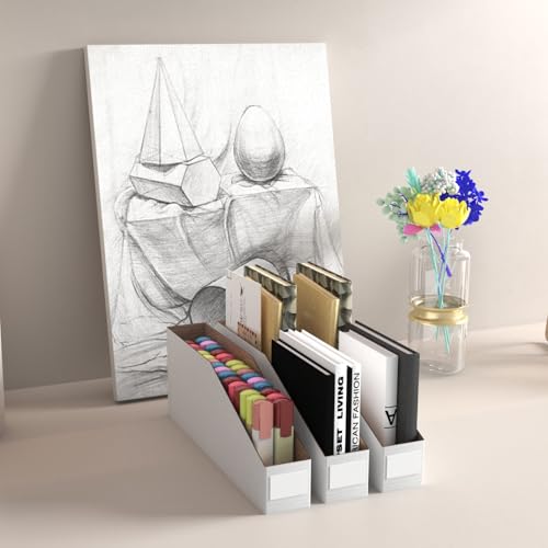 ZBEIVAN Cardboard Storage Bins Boxes 35 Packs 12x2x4.5 Inches, Easy Assembly Pantry Organizer Bins for Shelf, White - color: White, size: 12x2x4.5 inch