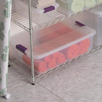 Sterilite 18-Pack 32 Quart ClearView Latch Box, Stackable Organizer Bins with Latching Lids - Clear Plastic Organization Containers for Closet, Bedroom, Shelving Units and Everyday Home Storage - size: 18 Pack, style: 32 Quart