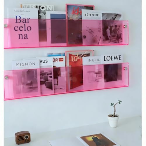 ROYALITA 2-Pack Acrylic Magazine Holder Brochure Holder, 36" Record Holder Magazine Rack, Fashion Hanging Bookshelf Literature Storage Rack for Waiting Room, Living Room, Office - color: Pink, size: 36 Inch