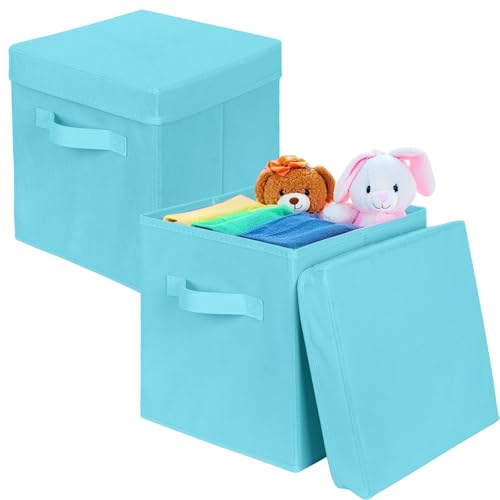 ShellKingdom Storage Bins, Foldable Fabric Storage Cubes with Lid, Clothes Storage Organizer Drawer For Closet Toys Storage, 10.5 X 10.5 X 11 INCH, 2 Pack (Light Blue) - color: Light Blue, size: 11 inch (2 Pack)