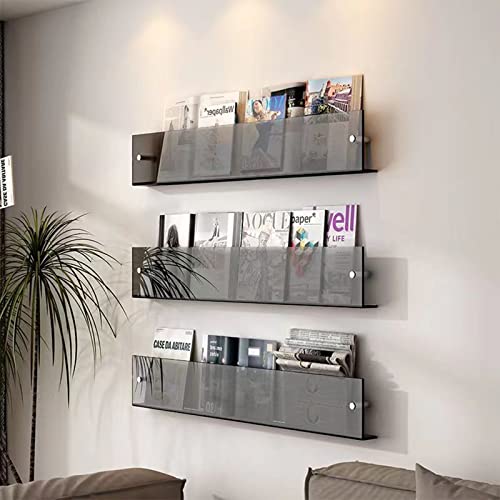 ROYALITA 2-Pack Acrylic Magazine Holder Brochure Holder, 24" Record Holder Magazine Rack, Fashion Hanging Bookshelf Literature Storage Rack for Waiting Room, Living Room, Office, Gray, 24 Inch - color: Grey, size: 24 Inch