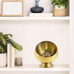 Golden Key Bowl for Entryway Table Decorative Storage Dish Catch All Bowl for Fruit Coffee Pod Holder Centerpiece for Kitchen Home Decor