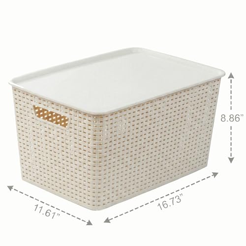 BINO | Plastic Storage Baskets with Lids, 22 Liter - 3 Pack, Natural | THE WOVEN COLLECTION | Storage Basket for Shelves | Woven Storage Baskets for Organizing Bins | Pantry Shelf Organizer Bin - color: Natural, size: 22L | 3-Pack
