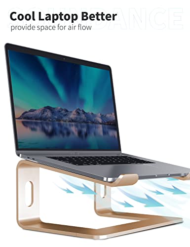 SOUNDANCE Laptop Stand, Aluminum Computer Riser, Ergonomic Laptops Elevator for Desk, Metal Holder Compatible with 10 to 15.6 Inches Notebook Computer, Champagne Gold - color: E-Gold, size: For 10 to 15.6 Inches Laptop
