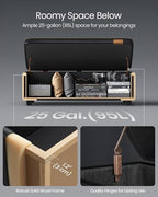 VASAGLE EKHO Collection - Storage Ottoman Bench, Entryway Bedroom Bench, 25 Gallons, Synthetic Leather with Stitching, Mid-Century Modern, Safety Hinges, Loads 660 lb, Ink Black ULOM075B01 - color: Ink Black, style: 25-Gallon Storage Bench