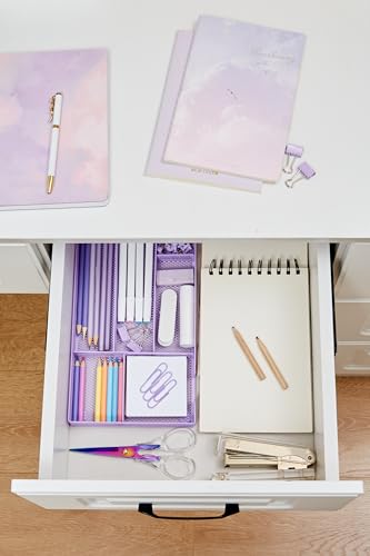 Annova Desk Drawer Organizer Tray for Office Organization - Metal Mesh - Storage Tray with Dividers for Pens, Desktop Accessories, Bathroom, Kitchen, Makeup and Office Supplies (Small, Purple) - color: Purple, size: Small