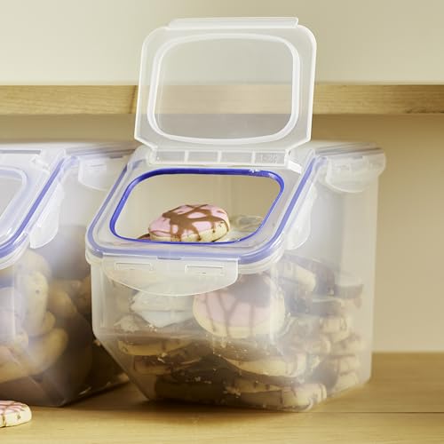 Lock & Lock Storage Bins Food Storage Container with Flip-top lids (Large) - size: Large