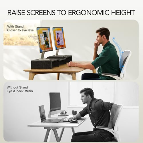 AMERIERGO Dual Monitor Stand Riser for 2 Monitors, Monitor Stand for Desk, Adjustable Computer Monitor Stand with 2 Slot, Multifunctional Desktop Organizer Stand for Laptop, PC, Computer, Printer - color: Black
