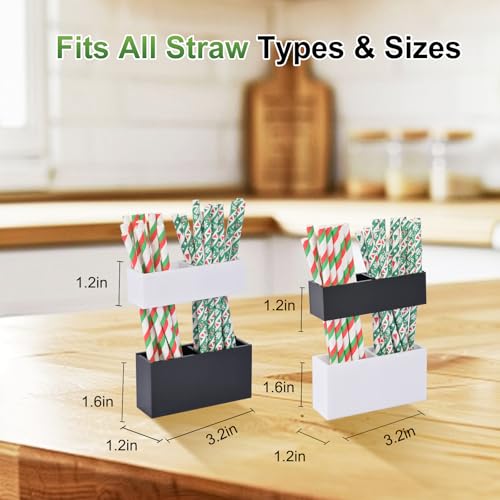 Adjustable 2-Part Acrylic Straw Holder for Cabinet Doors (2 Pack), Reusable Straw Organizer with Ultra-Sticky Adhesive, Small Kitchen Accessories Container (Black and White) - color: Black&White