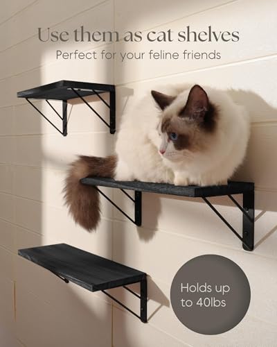 BAYKA Wall Mounted Floating Shelves, Wood Floating Wall Shelf for Books & Decor, Small Space-Saving Display & Organizer（Black，Set of 3） - color: A. Black Board & Black Brackets, size: 16-inch Mixed