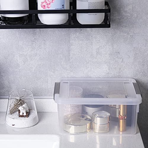 Anywish Small Storage Bins with Lids 3.2 QT Plastic Storage Containers for Organizing Stackable Clear Storage Boxes,Clear White(6 Packs)