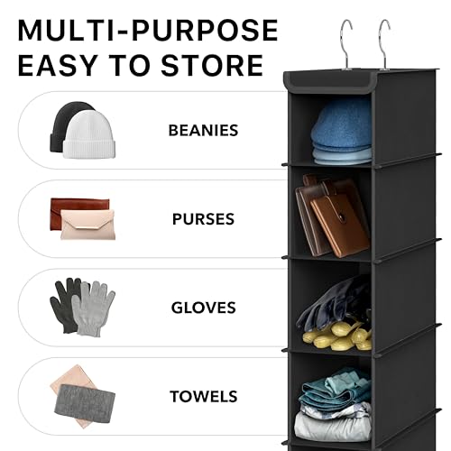 Simple Houseware 10 Shelves Closet Hanging Shoe Organizer, Black - color: Black, size: 1-Pack