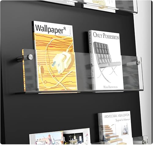 ROYALITA 2-Pack Acrylic Magazine Holder Brochure Holder, 17" Record Holder Magazine Rack, Fashion Hanging Bookshelf Literature Storage Rack for Waiting Room, Living Room, Office, Clear 17 Inch - color: Clear, size: 17 Inch