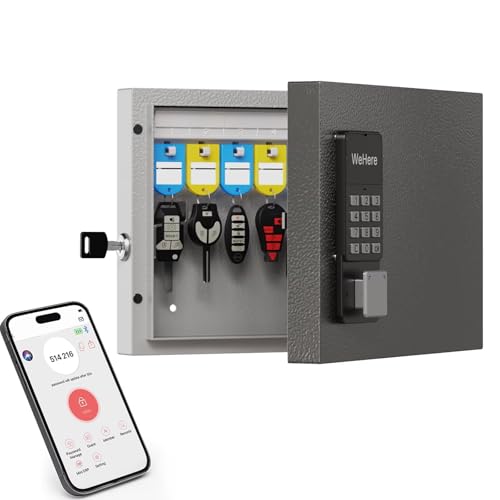 16 Key Lock Box Wall Mount, Smart Key Cabinet, use One Time Password,Fixed Code, Bluetooth, Wi-Fi Remote, Key Unlock, Security Lockbox Organizer for Valets, Hotel, Car, Office Key Management & Storage - size: 16 Key (Smart)