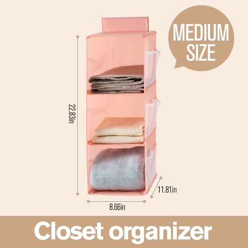 Hanging Closet Organizer, 4-Section Storage Shelves, Oxford Cloth with Mesh Pockets, (Pink, 3 Section) - color: Pink, size: 3 Section*2PACK