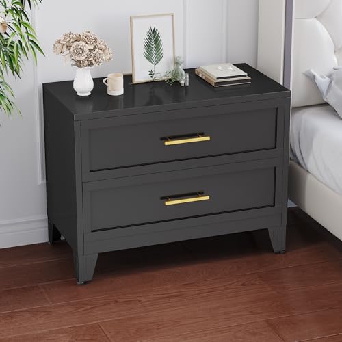 24.8" Tall Metal Dresser for Bedroom, 2 Drawer Nightstand, Side Table, Under Desk Steel Storage Drawer Cabinet, File Drawer for Home Office,Living Room, Entryway, Hallway - color: Black, style: Wide Style/2 Drawers
