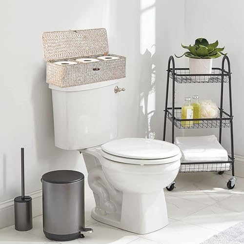 Sumnacon Extended Seagrass Storage Basket with Lid 3-Section Wicker Storage Basket,Small Woven Shelf Basket for Toiletries Tampon Storage,Seagrass Basket for Shelf Bathroom Toilet Counter,Whitewash - color: Whitewash, size: Large