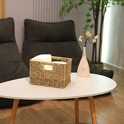 HOONEX Large Wicker Baskets for Storage, Seagrass Baskets with Dual Handles, Woven Baskets for Storage, Set of 3, Natural - color: Natural (Seagrass), size: 17"D x 12.2"W x 7.5"H