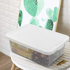 14 Quart Clear Storage Box, Underbed Plastic Latch Box with White Lids, 2-Pack - color: White