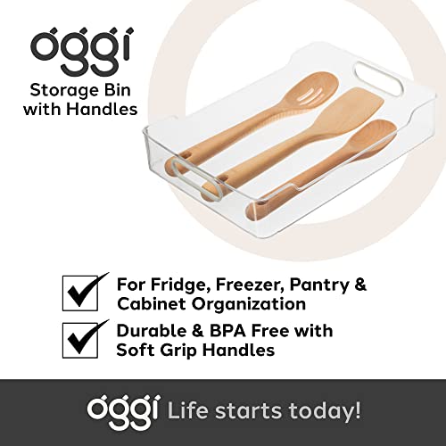 Oggi Cabinet / Drawer Storage Bin (14" x 9.75" x 2.75") - size: 14" x 9.75" x 2.75"