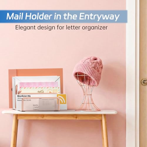 Mail Organizer Countertop with 5 Slot, Metal Mail Holder for Desk, File Holder Letter Sorter for Envelope, Bill and Document (Rose Gold) - color: Rose Gold