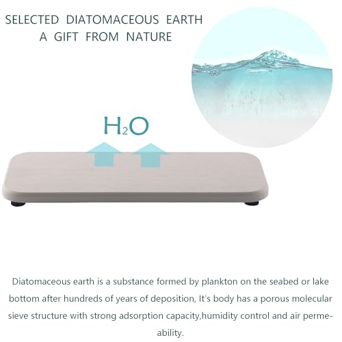 NiuYichee 2 Pcs Water Absorbing Stone Trays, Kitchen/Bathroom Sink Soap Dish, Diatomite Tray Used for Hand Soap & Cosmetic Bottles in the Modern Home, 4" W x 9" L, White - color: White, size: 9" x 4"